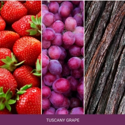 Mr & Mrs Fragrance Zapach do samochodu Cesare Tuscany Grape 1szt.